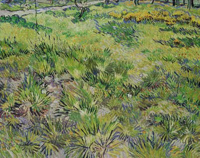 Wiese mit Schmetterlingen von Vincent van Gogh